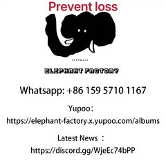 Elephant-Brother