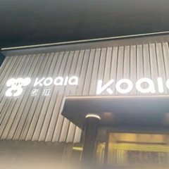 Koala-top