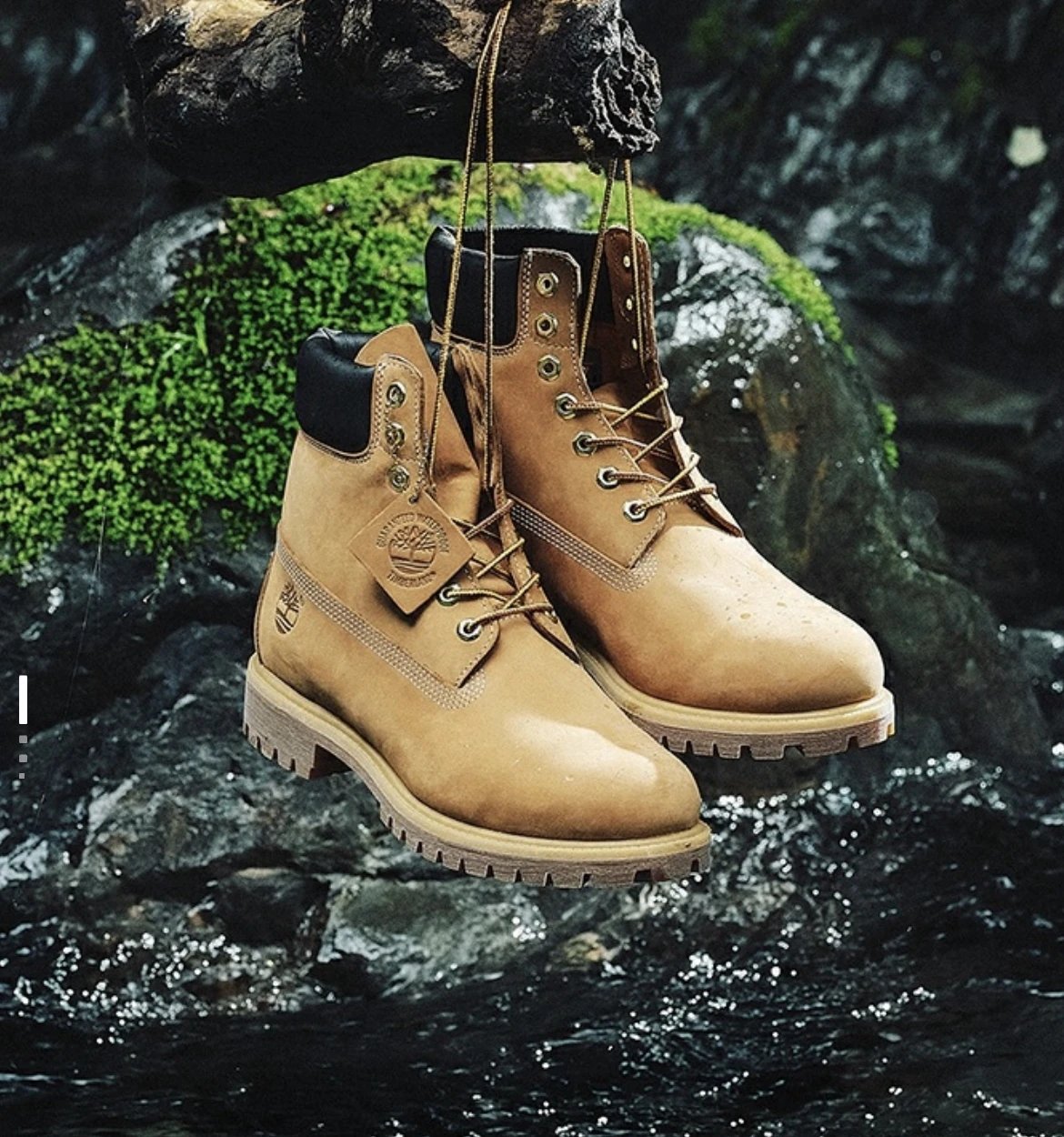 Timberland Boots 6-Inch Premium Waterproof Boot