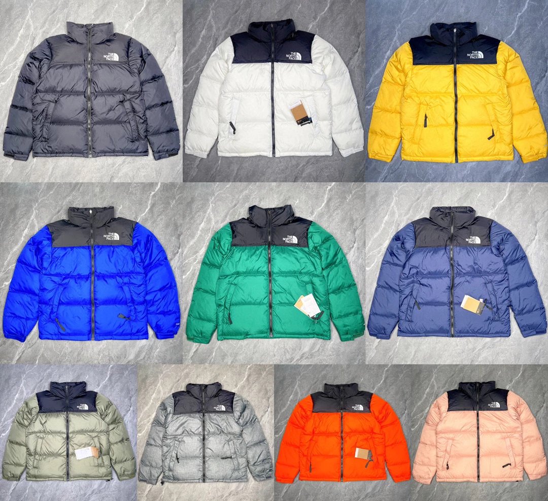 THE NORTH FACE 1996 Down Jacket