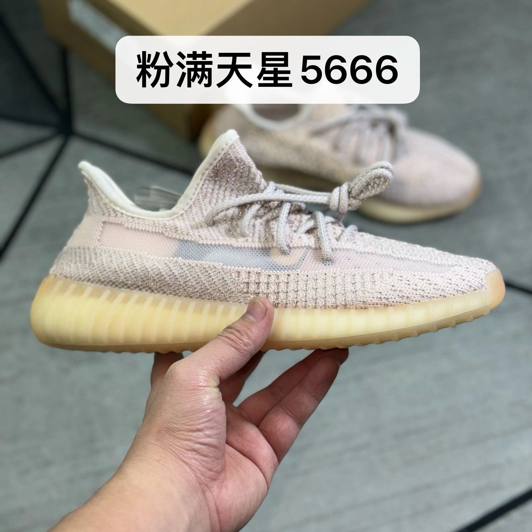 Pink Glow 5666