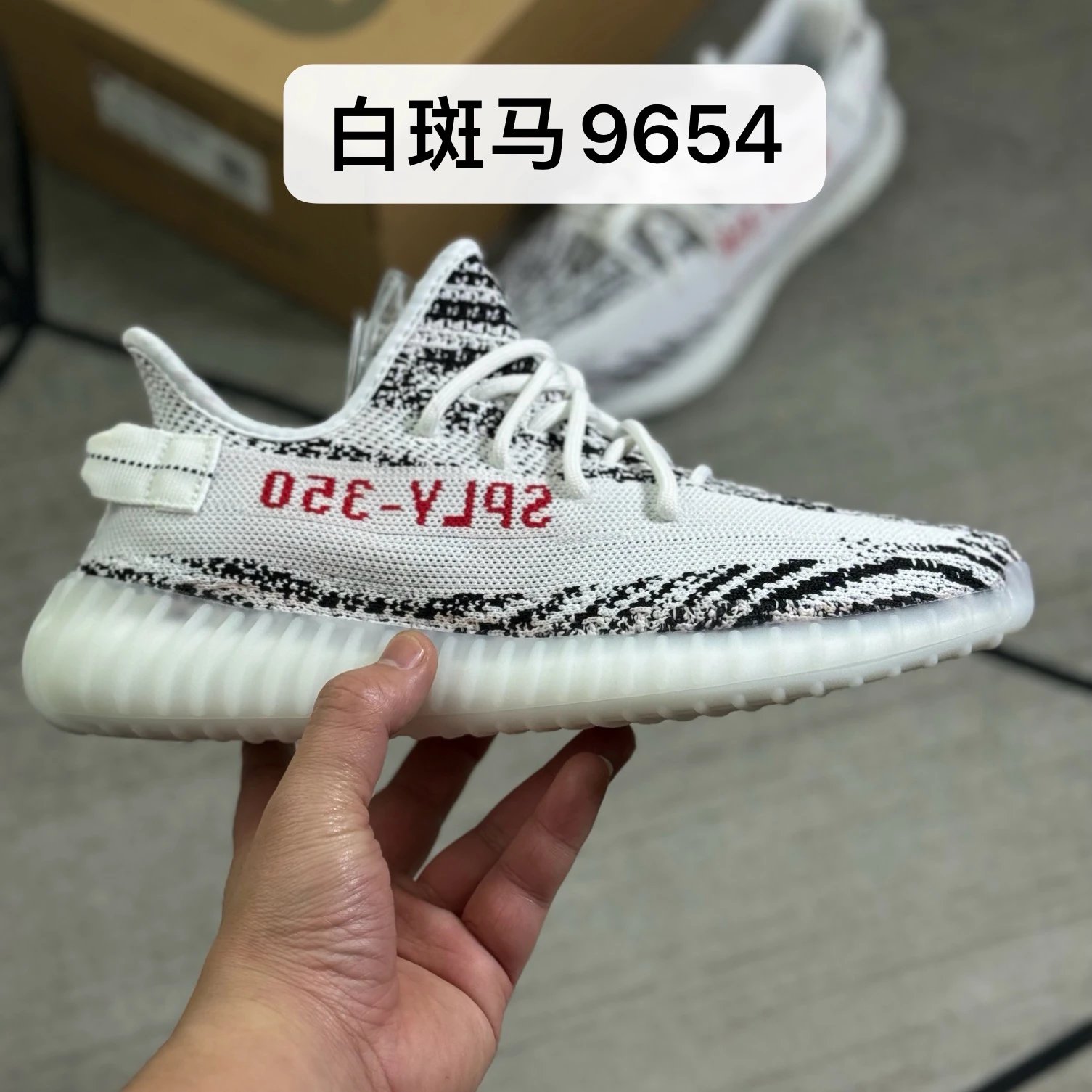 White Zebra 9654