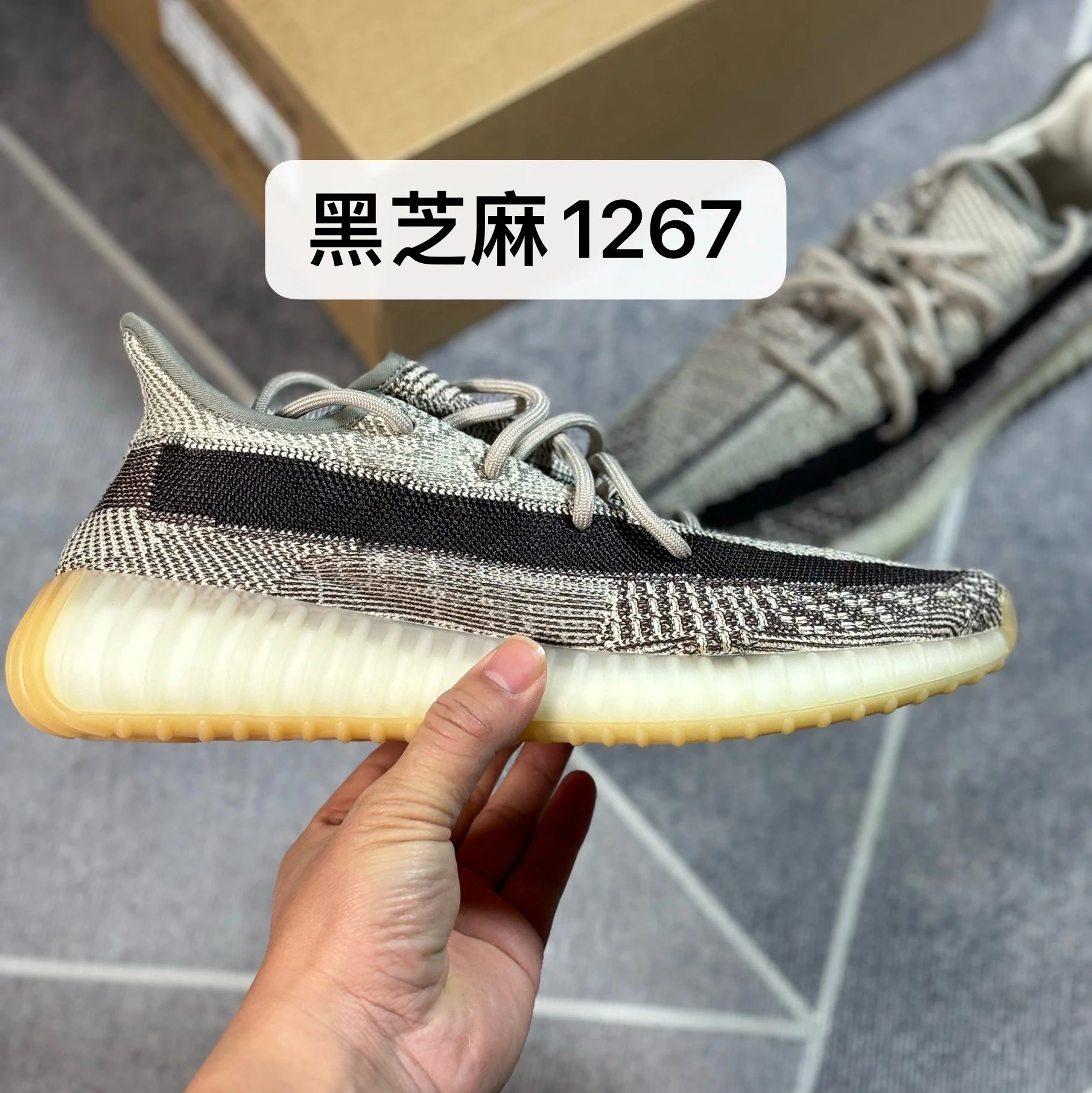 Black Sesame 1267