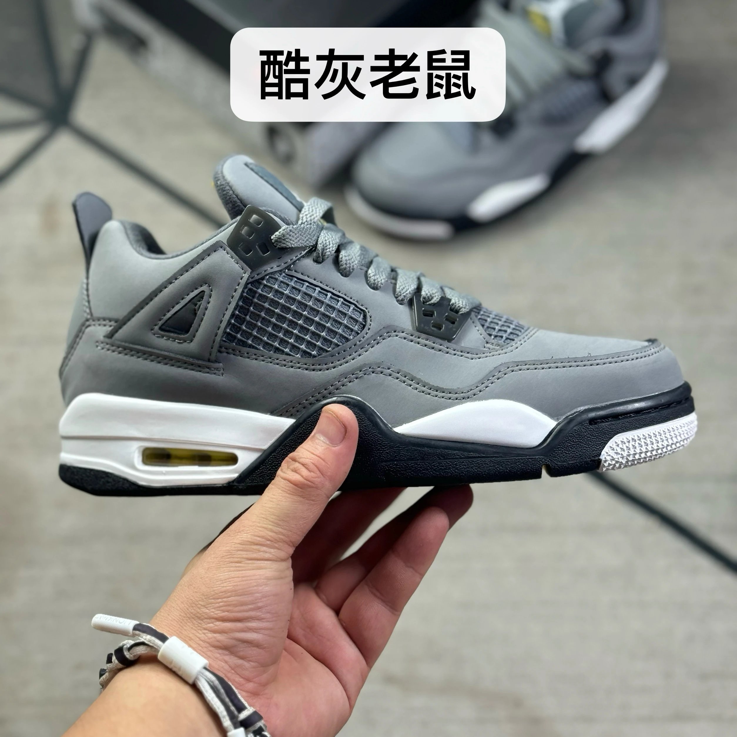 Cool Grey Mouse