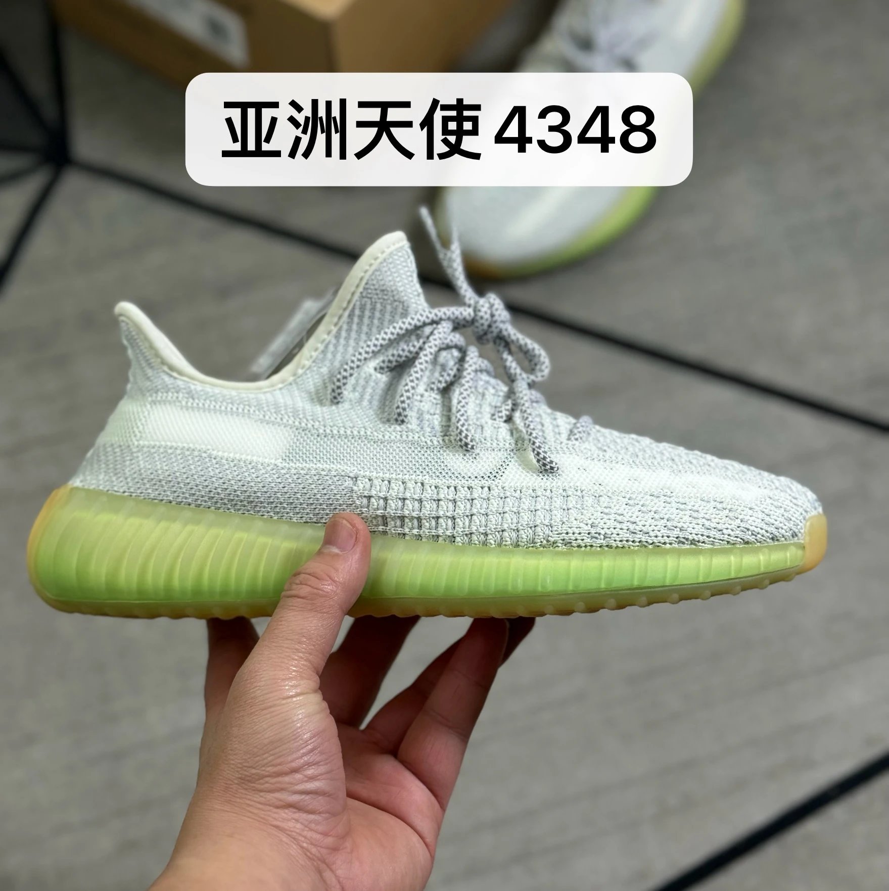 Asia Angel 4348