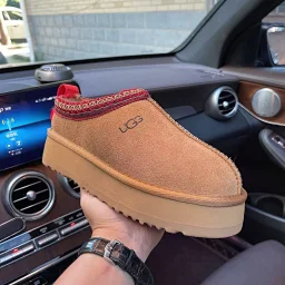 thumbnail for Tasman