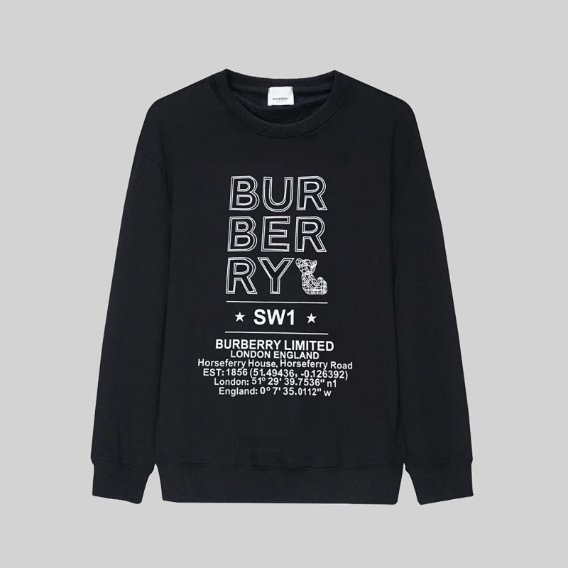 Burberry hoodie