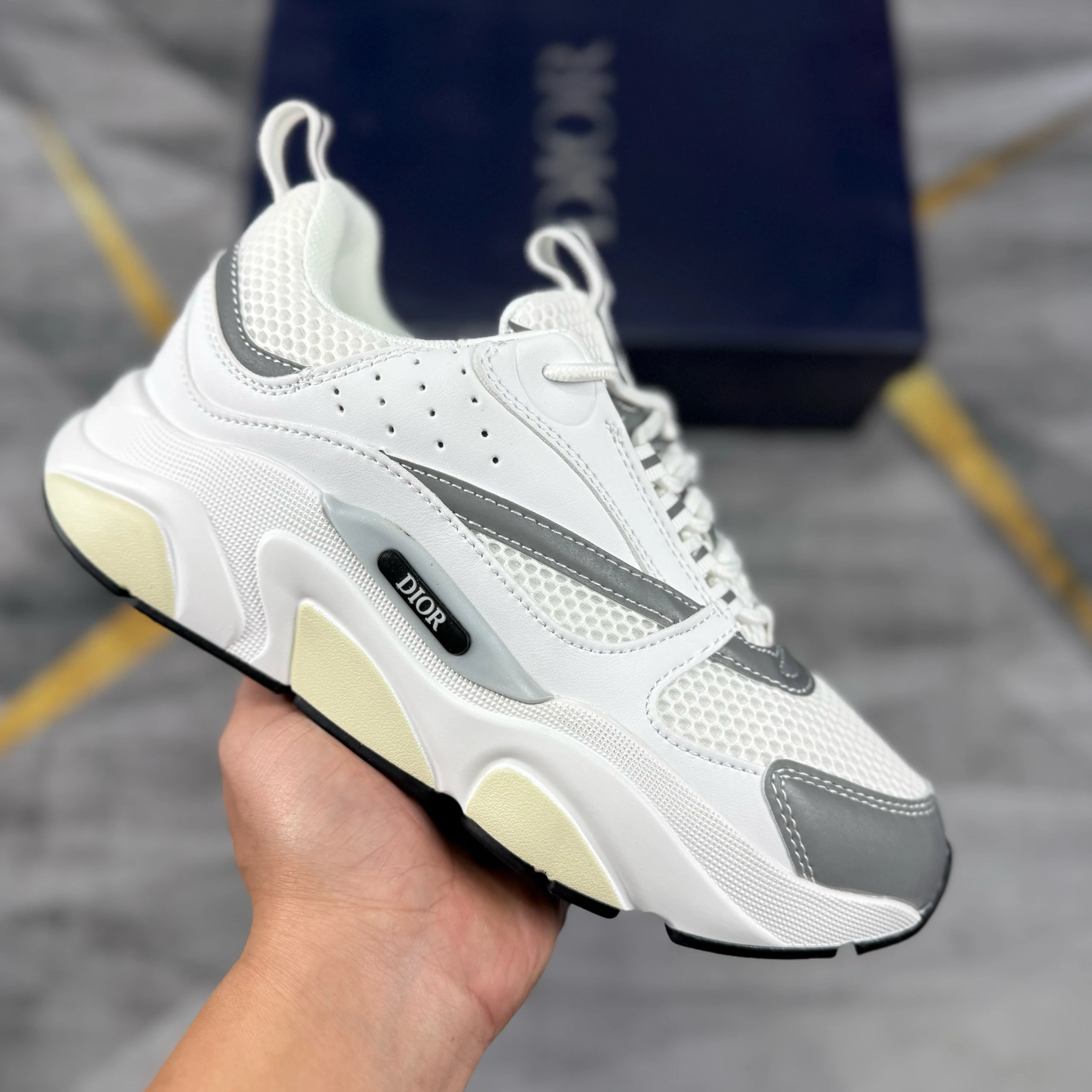 Dior B22 Low White Grey 3SN231YJG H000