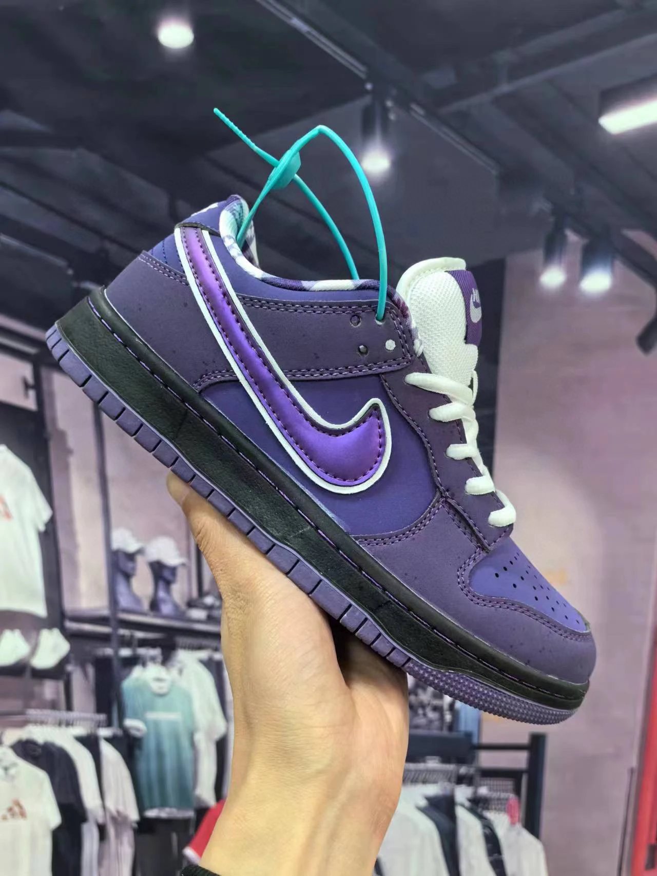Nike SB Dunk Low Purple Swoosh Sneakers Skateboard Shoes