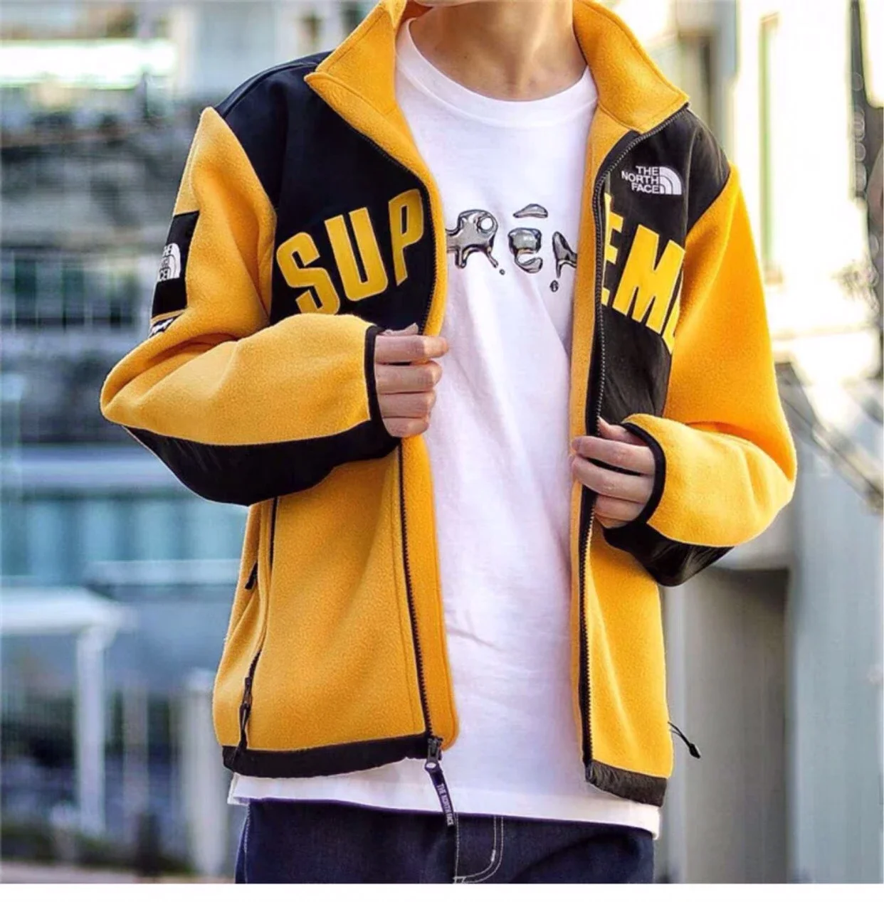 In stock Supreme 19 SS full color system TNF Arc Logo Denali