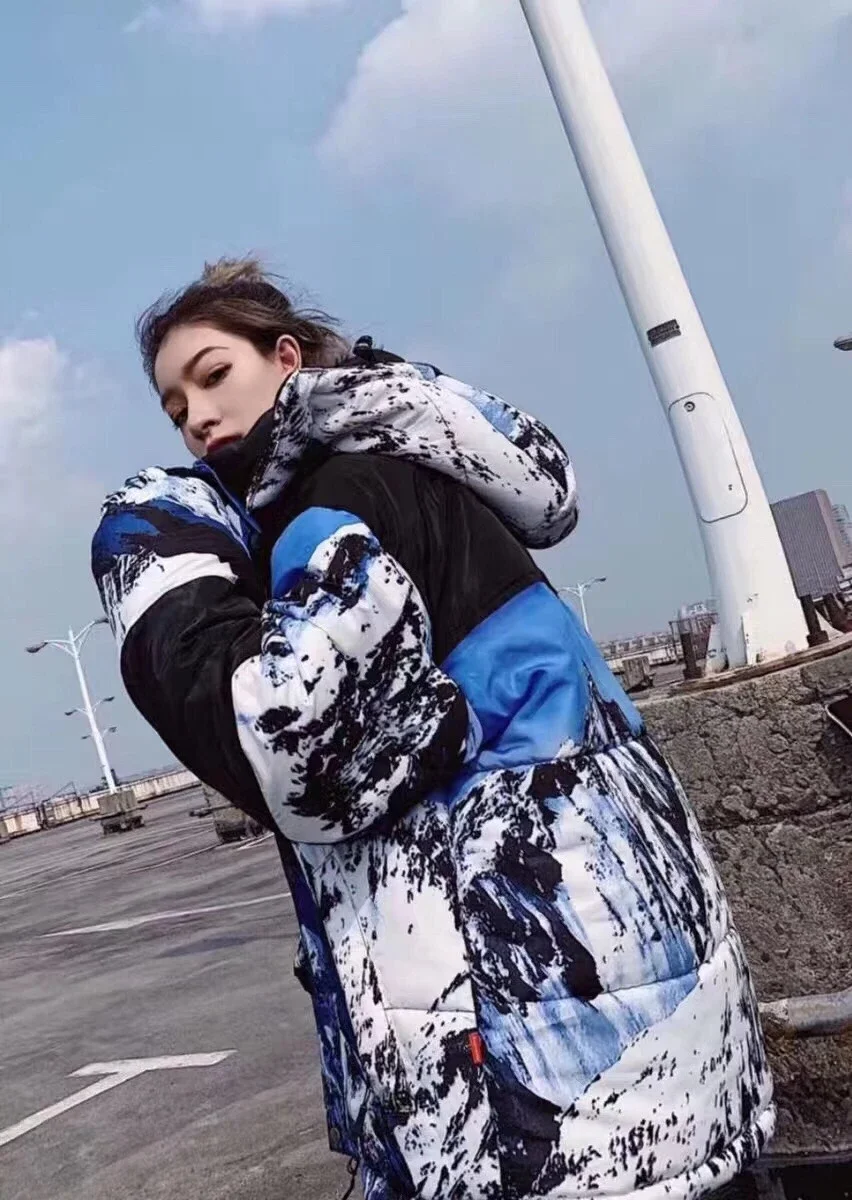 supreme north face 雪山 マウンテンパーカー