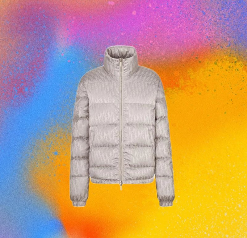 Louis Vuitton down jacket