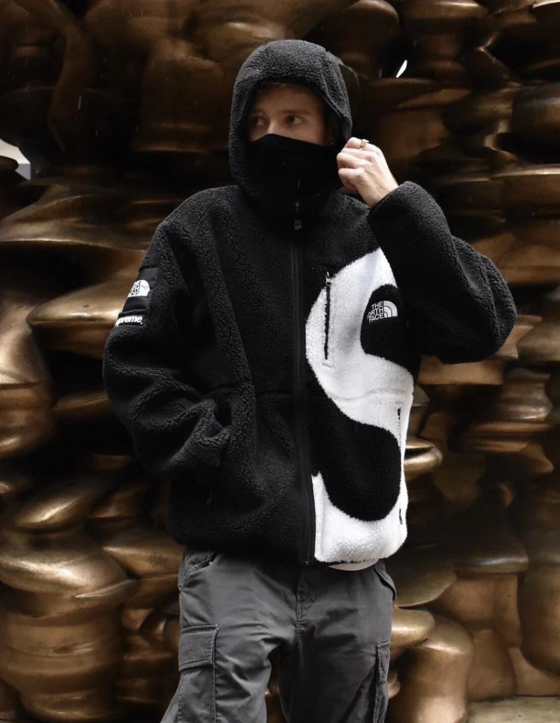 Supreme x The North Face Yin Yang Sherpa Fleece Jacket Black / White Outerwear - 13