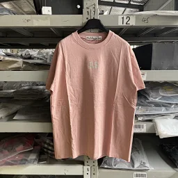 thumbnail for Korean trendy brand REST chest embroidered short sleeve in dirty pink