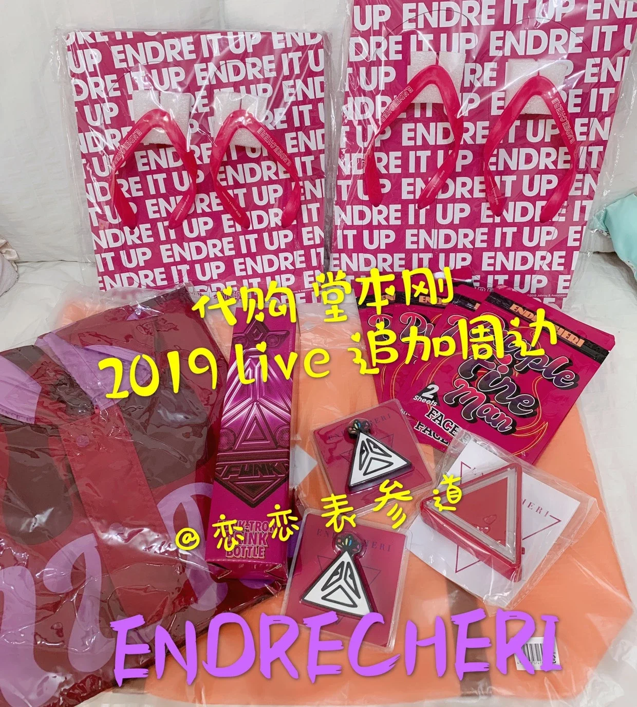 全新特价】ENDRECHERI 堂本刚2019 LIVE 周边T恤水杯手灯雨衣