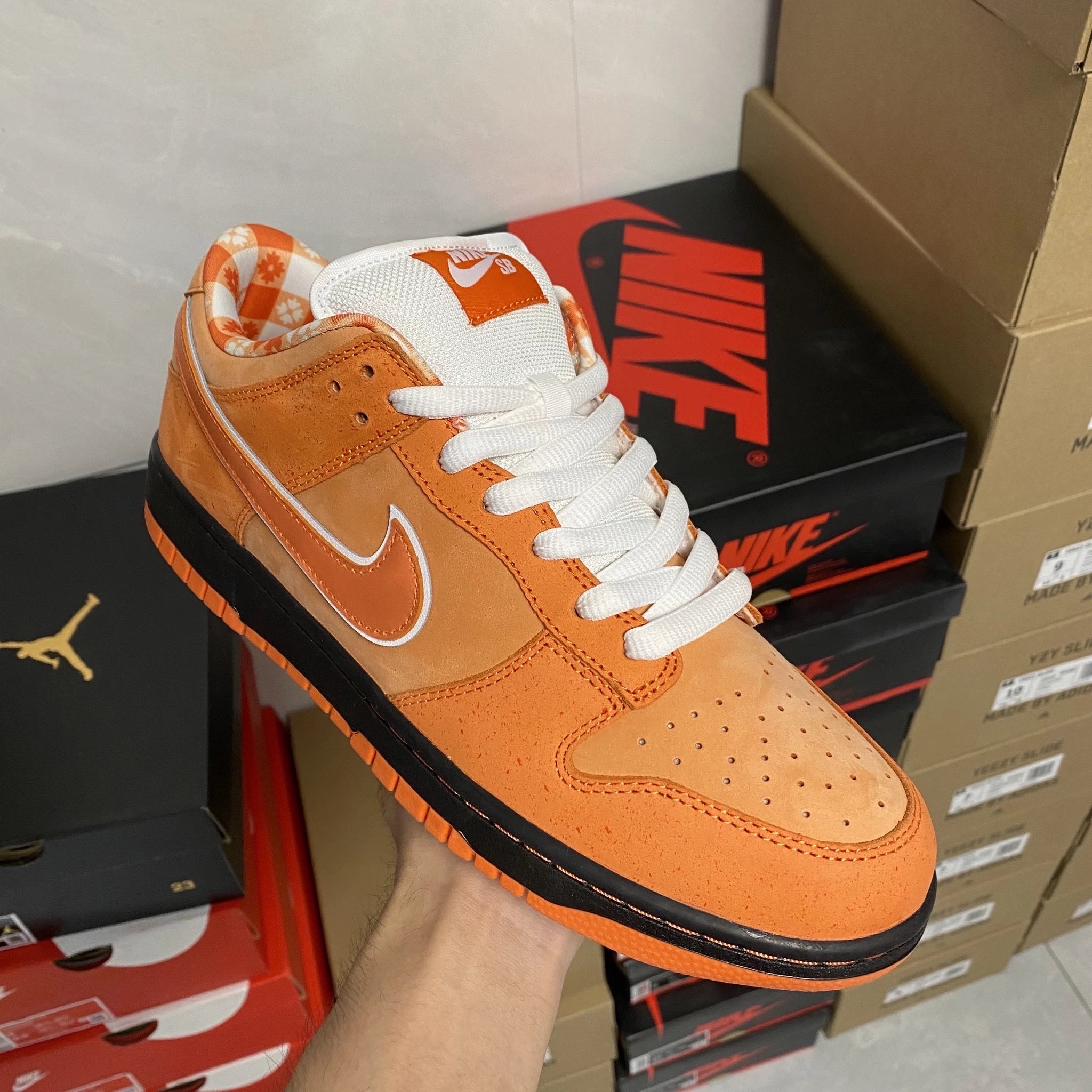 Orange lobster