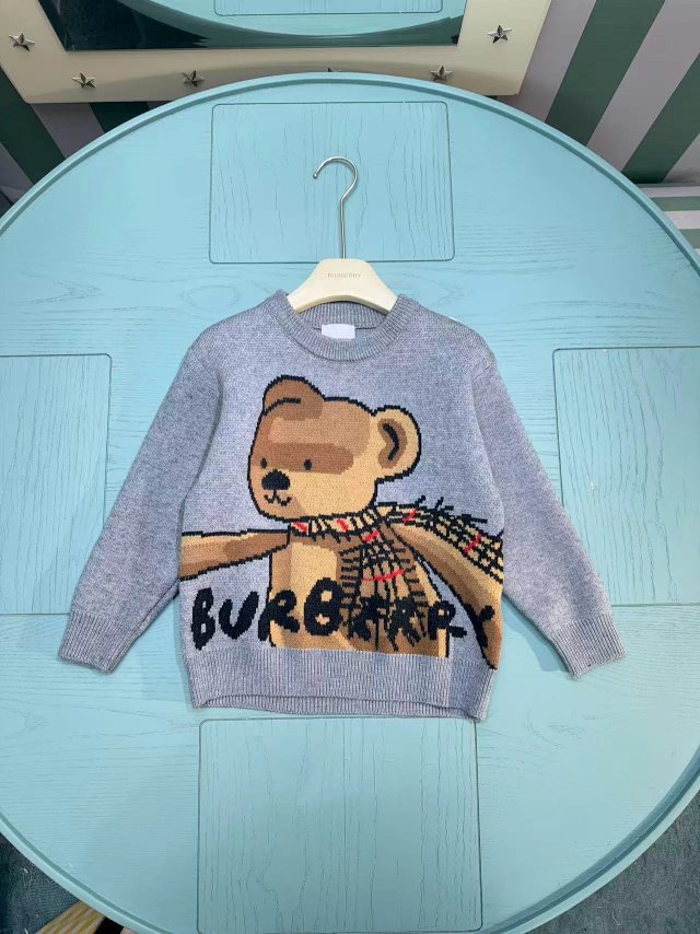 Burberry Children's Hoodie: seller detail photo 1
