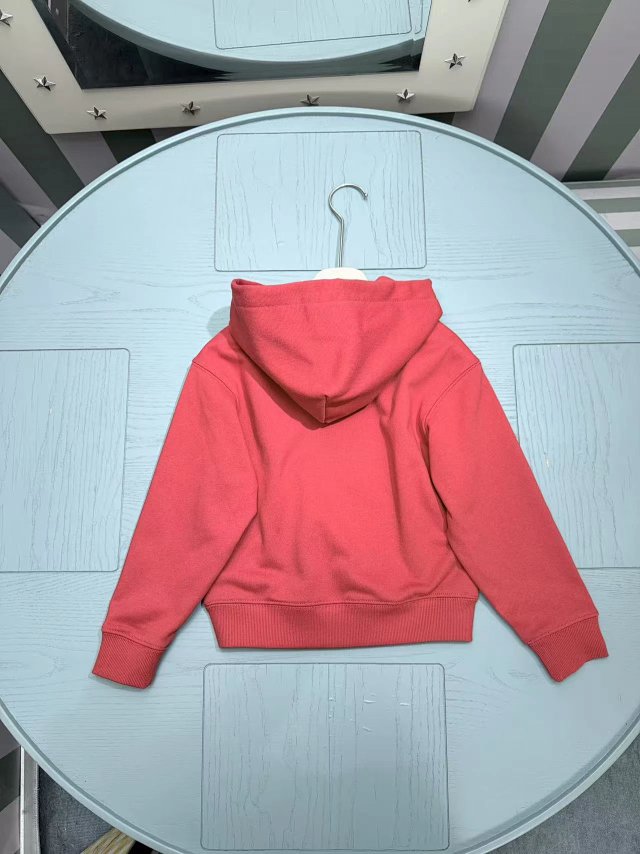 Ralph Lauren Children's Hoodie: seller detail photo 9