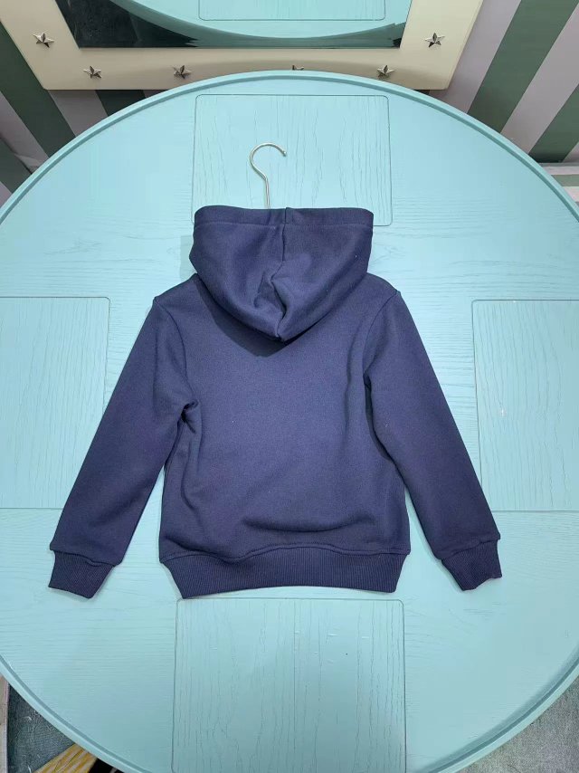 Ralph Lauren Children's Hoodie: seller detail photo 3