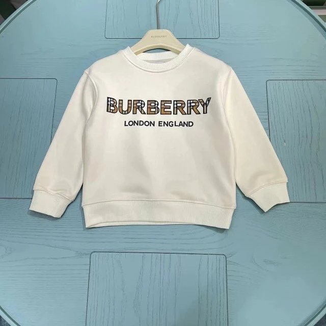 Burberyy Children's Hoodie | 3 colorways