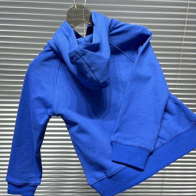 Ralph Lauren Children's Hoodie: seller detail photo 9