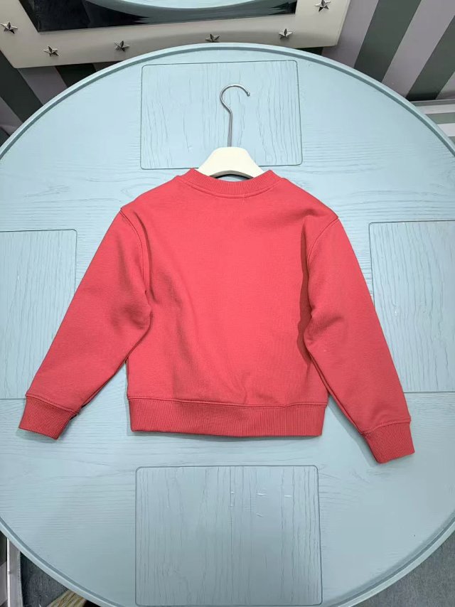 Ralph Lauren Children's Hoodie: seller detail photo 3
