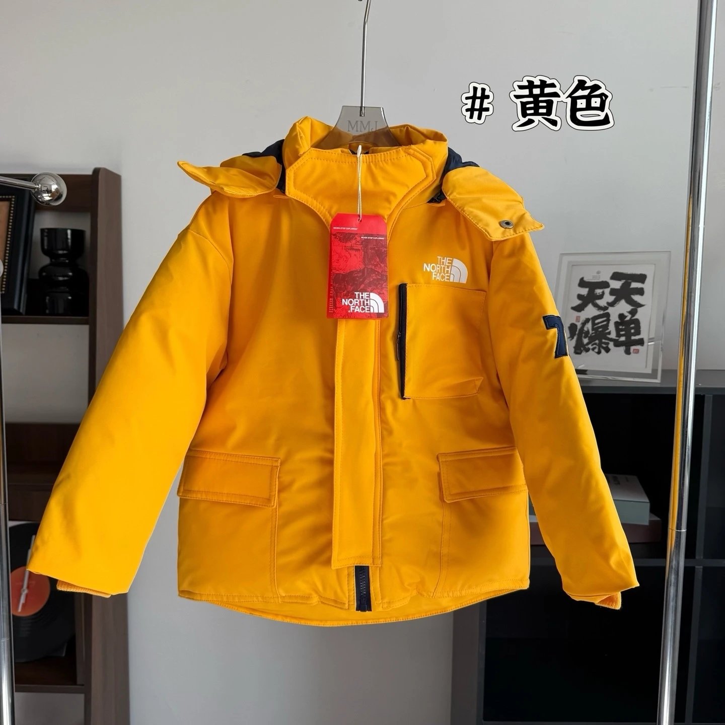 The North face children's Down Jacket | 2 colorways