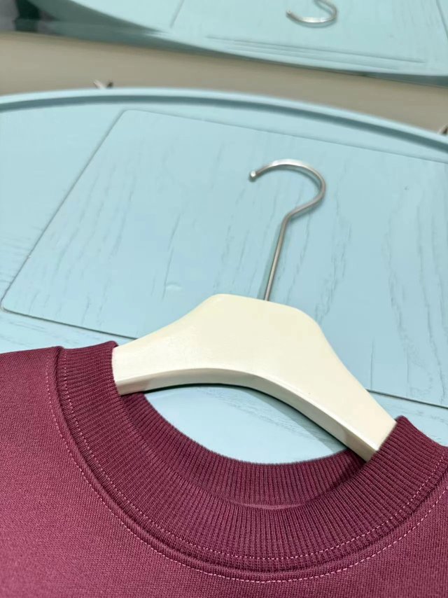Ralph Lauren Children's Hoodie: seller detail photo 14