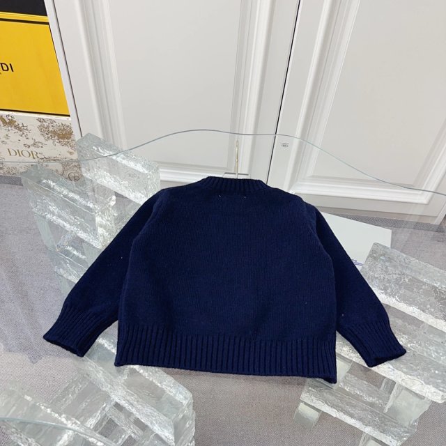 Ralph Lauren Children's HOodie: seller detail photo 12