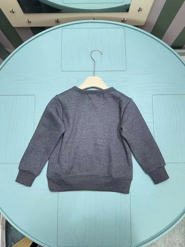 Ralph Lauren Children's Hoodie: seller detail photo 2