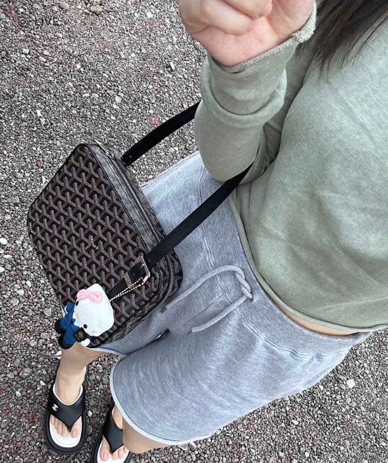 Goyard bag