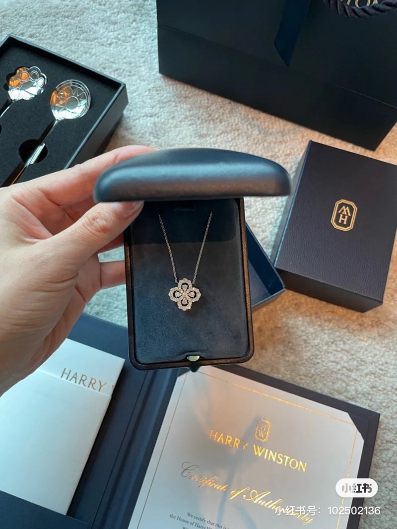 Harry Winston Loop Hw