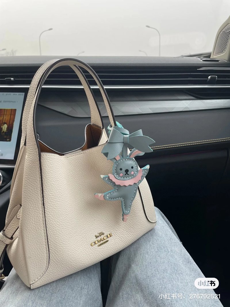 Coach crossbody bag
