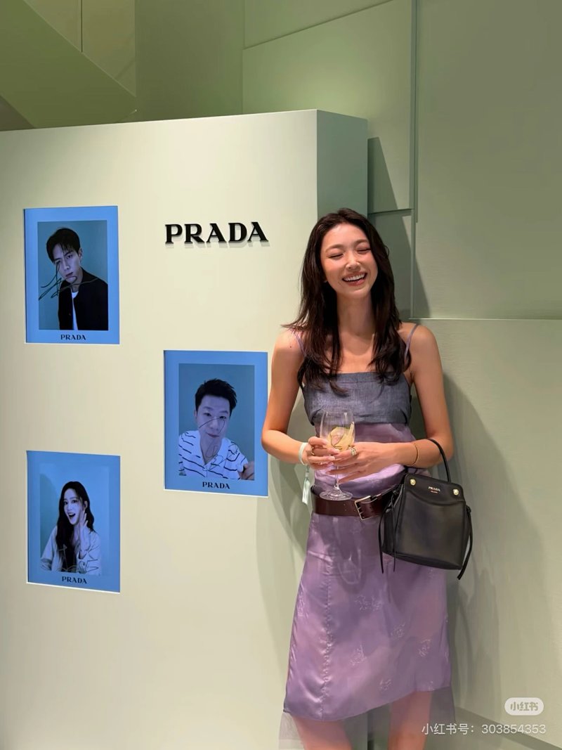 Prada 26 Carry