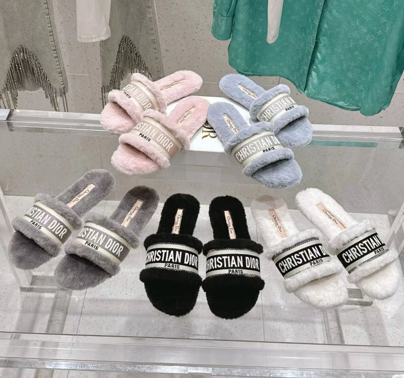 Dior slides