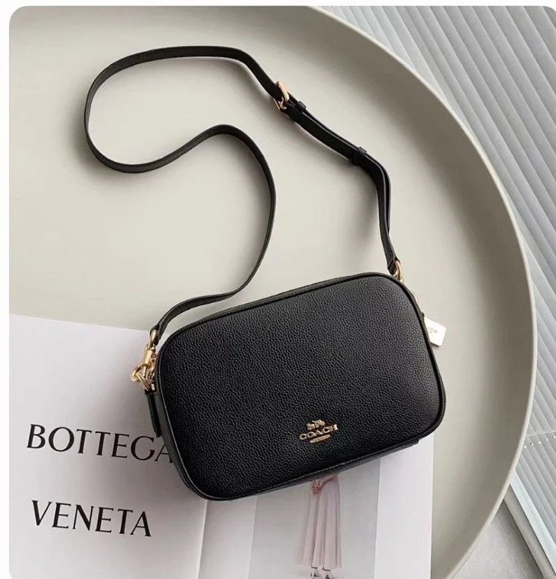 Louis Vuitton camera bag