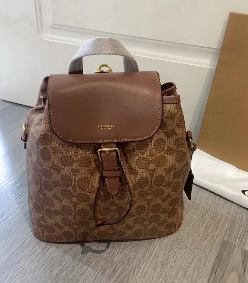 Louis Vuitton backpack