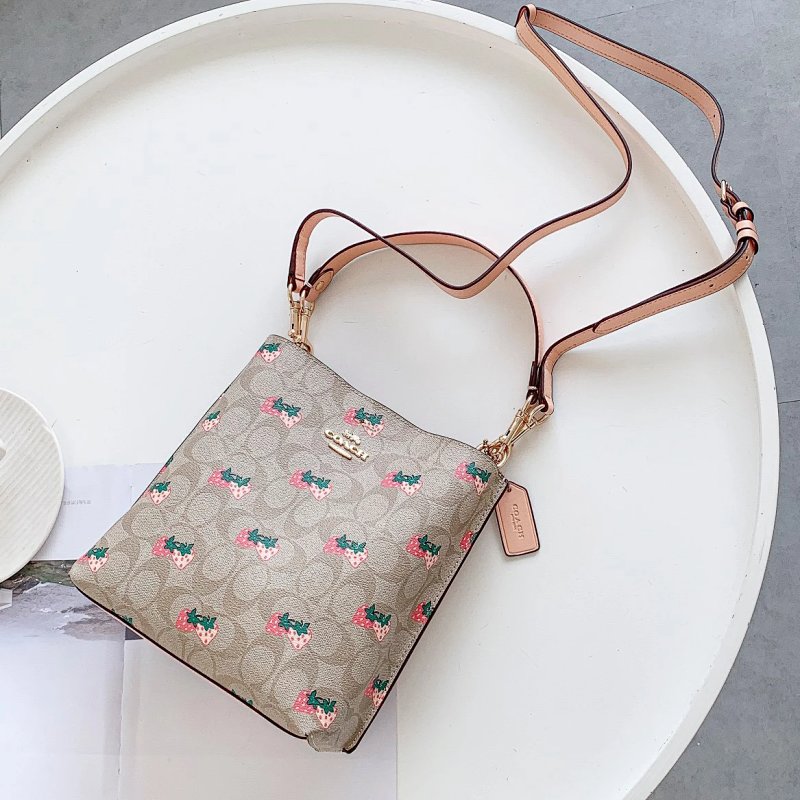 Coach Mollie 22 Details 17cm 56c