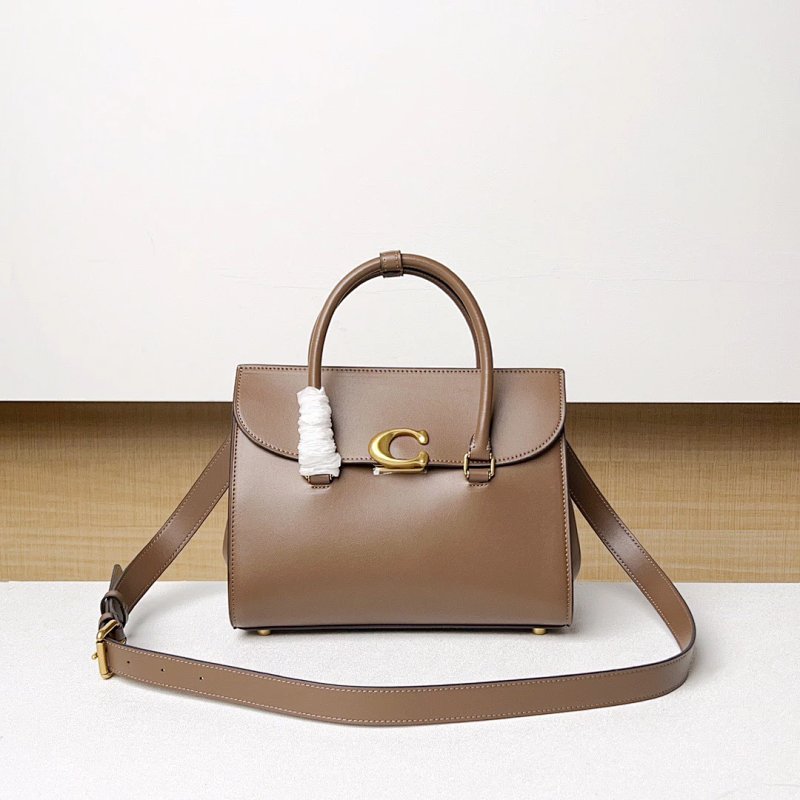 Louis Vuitton Coach 1 Broome Carryall