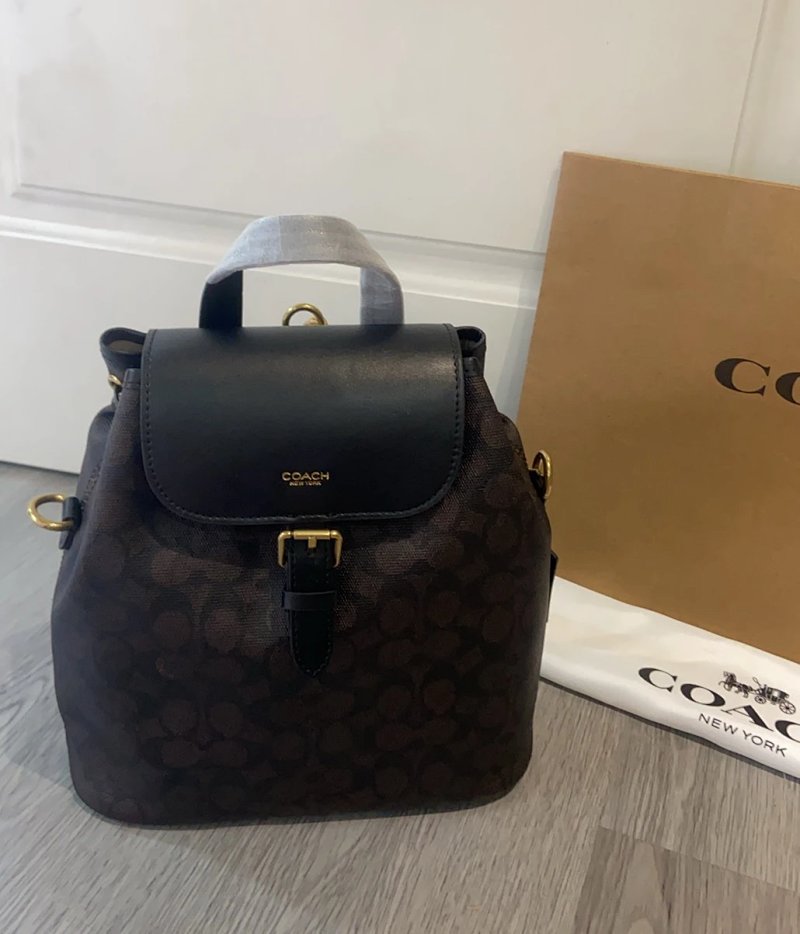 Louis Vuitton backpack