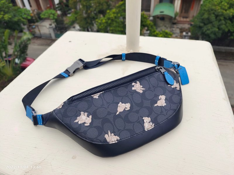 Louis Vuitton belt bag