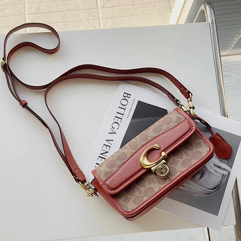Louis Vuitton Coac Studio Baguette 20 10 7