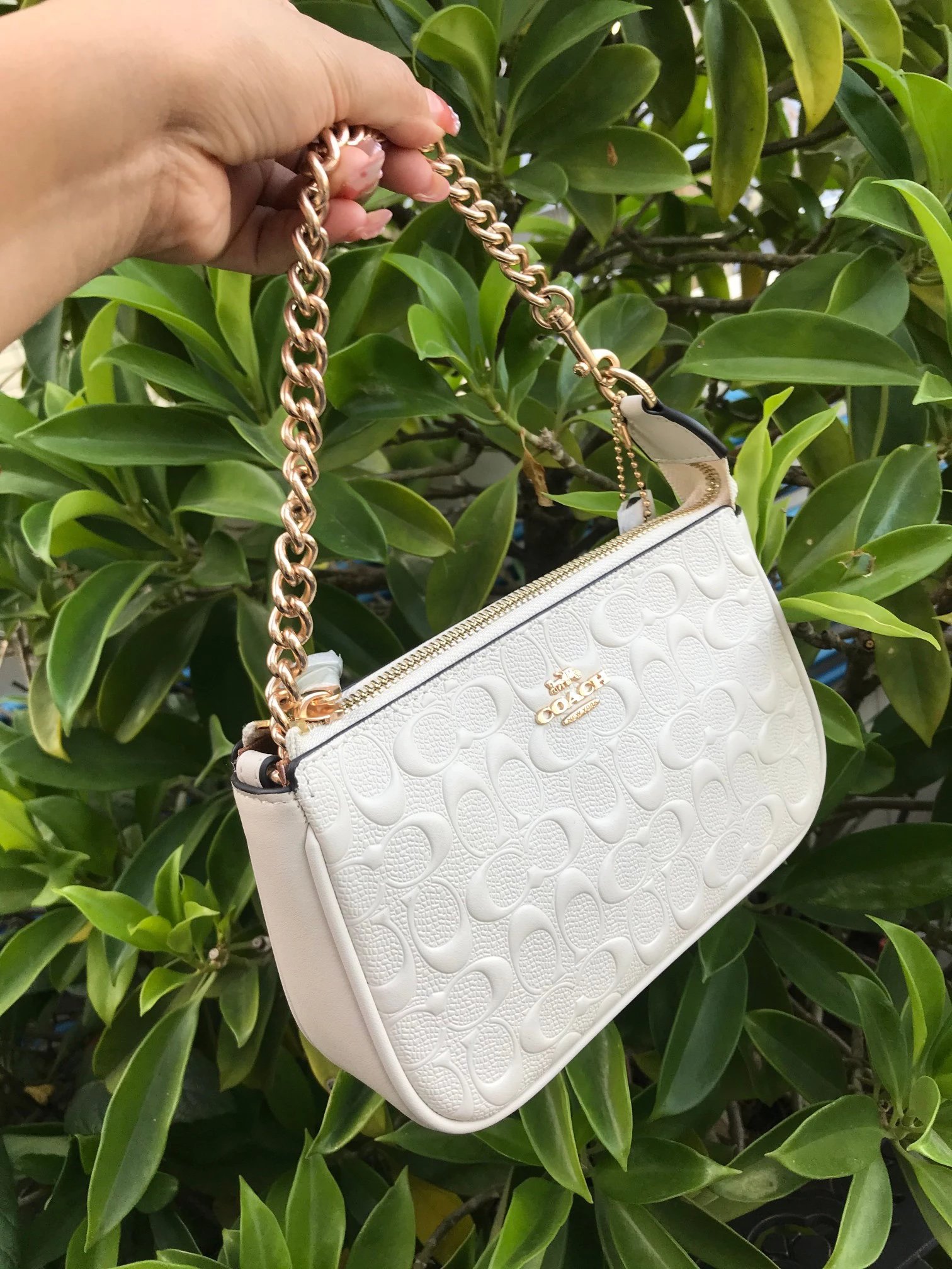 Coach Signature Crossbody Bag