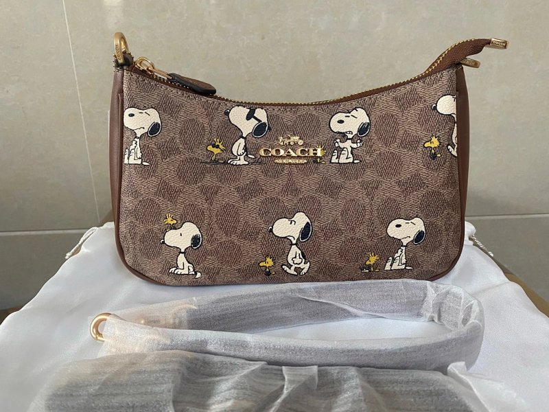 Peanuts Snoopy Teri