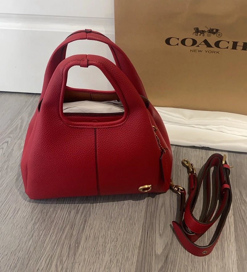 Louis Vuitton bag