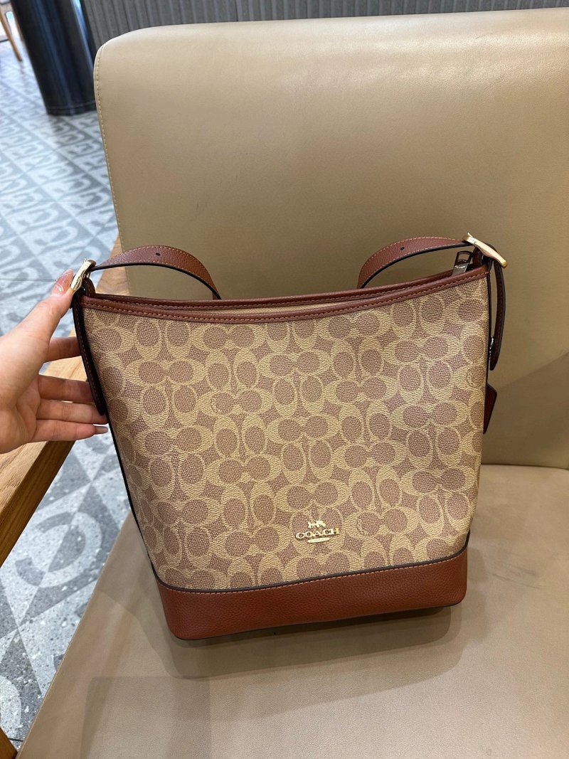 Louis Vuitton shoulder bag