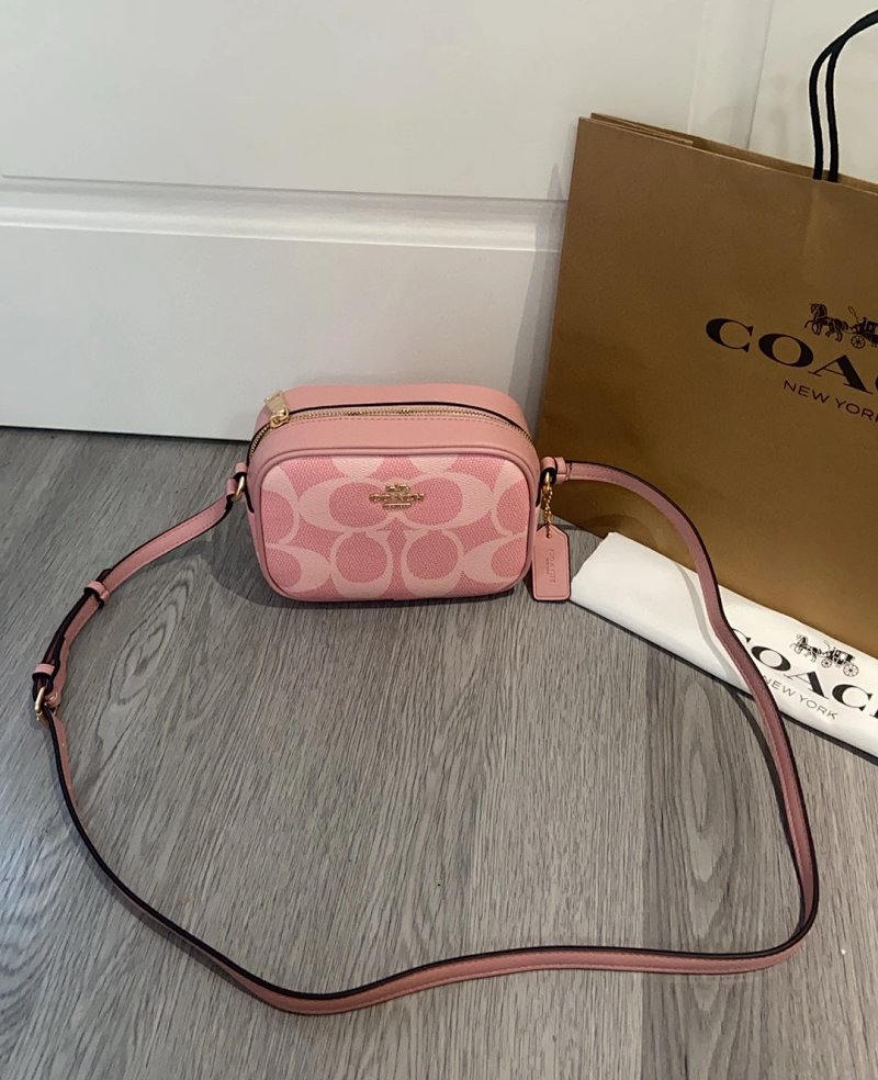 Louis Vuitton camera bag