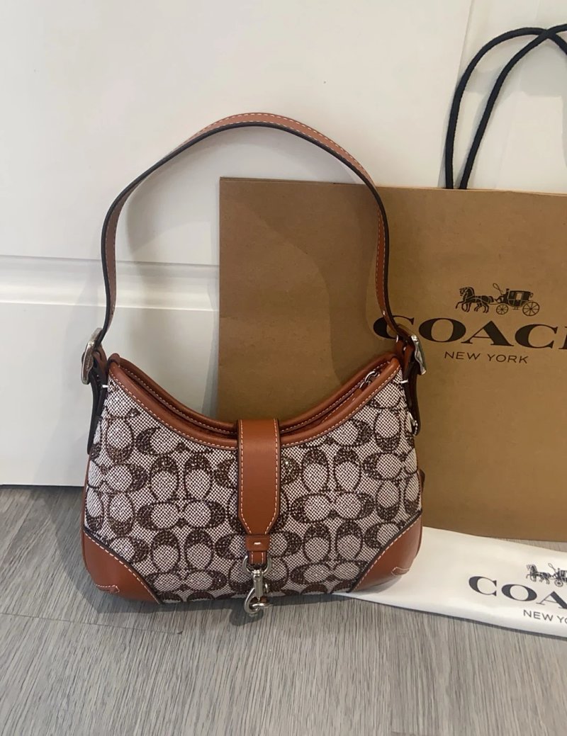 Louis Vuitton Coach Hamptons Hobo Signature C