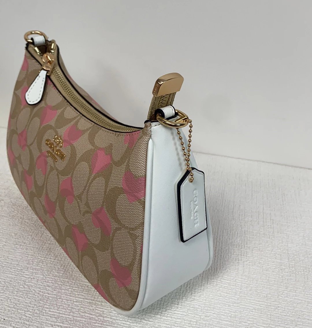 Coach Shoulder Bag 6