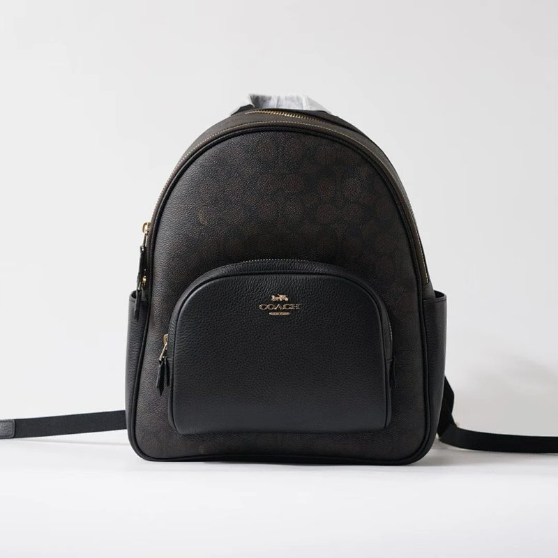 Louis Vuitton backpack